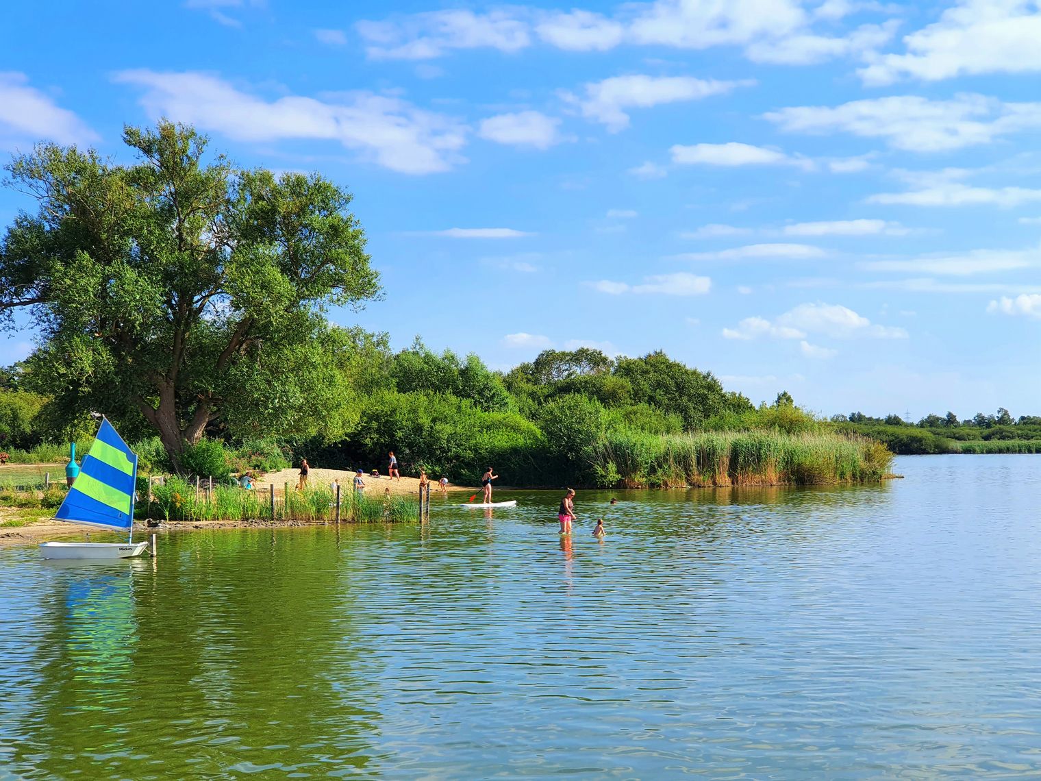 Ufer am Dümmer-See