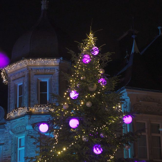 Festlich geschmückter Tannenbaum im Schlosshof