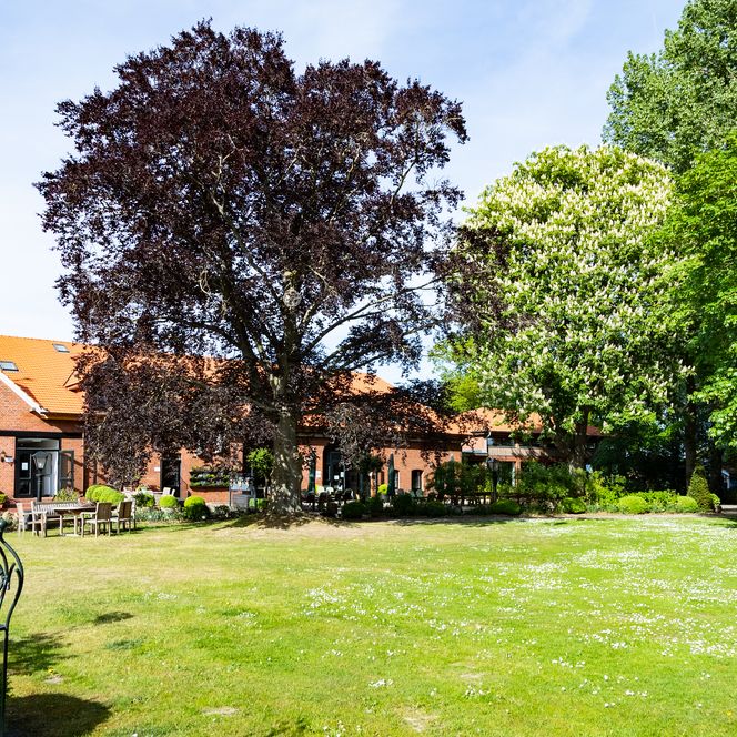 Backsteingebäude mit rotem Dach hinter grüner Wiese und blühenden Bäumen unter blauem Himmel.
