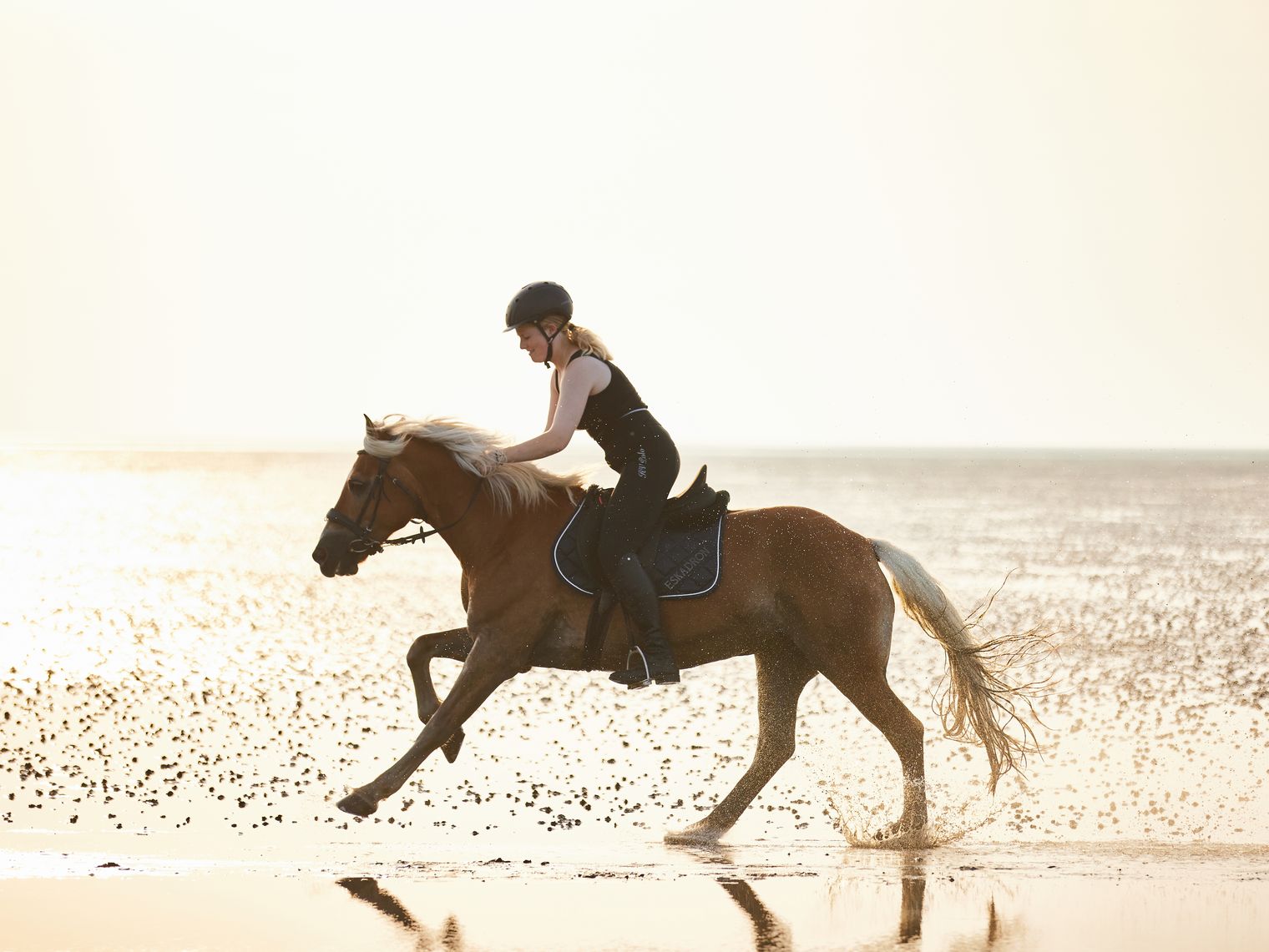 Reiten im Watt