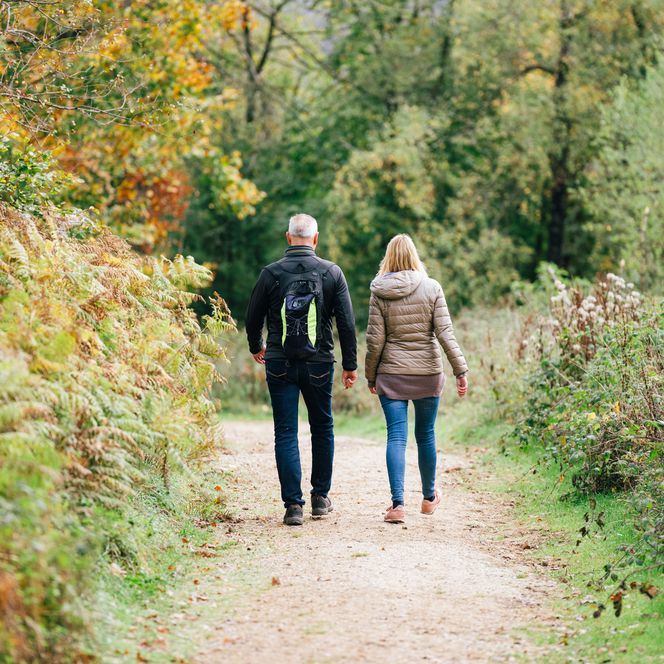 Wandern im Natur- und Geopark Terra.vita