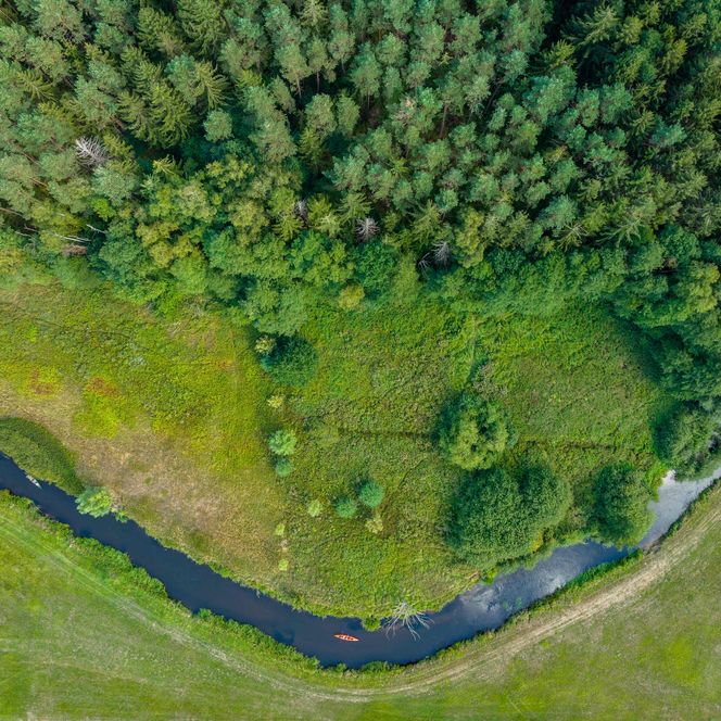 Fluss in der Lüneburger Heide