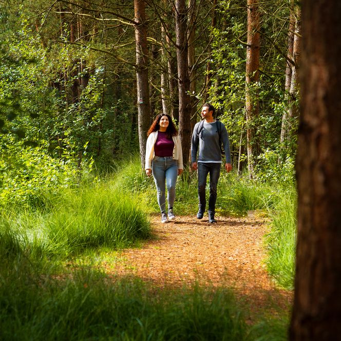 Zwei Personen genießen einen Spaziergang auf dem Nordpfad Dört Moor umgeben von Bäumen.