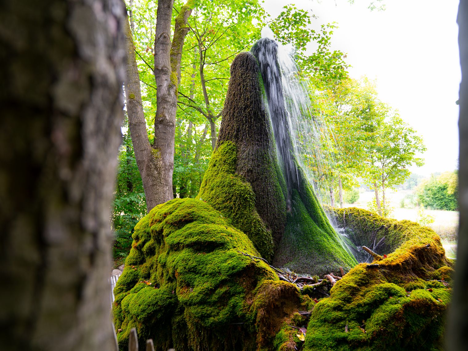 Weserbergland Wasserbaum Ockensen
