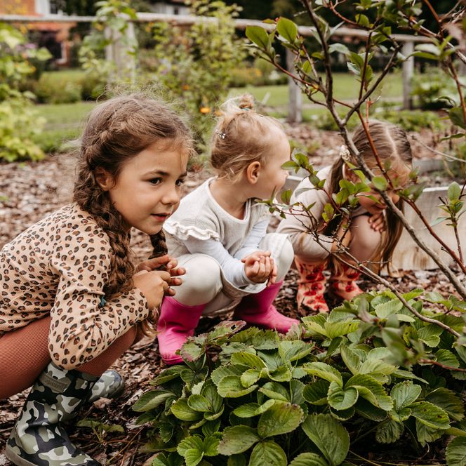 Kinderlandhuis Averbeck