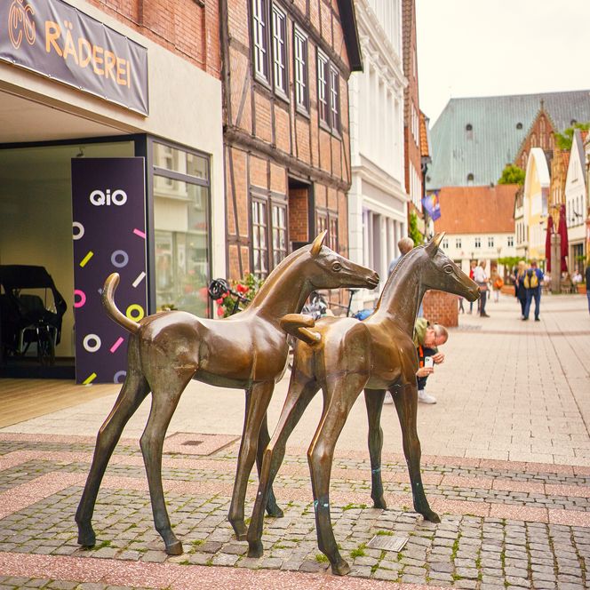 Pferdeskulpturen in der Innenstadt Verden (Aller)