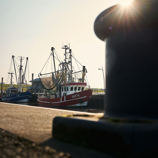 Zwei Krabbenkutter an der Kaimauer. Im unscharfen Vordergrund ein großer Poller im Gegenlicht.