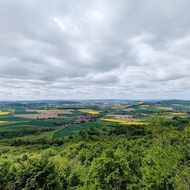 Blick über Baumkronen auf eine weite Landschaft mit grünen Wiesen, auf Rapsfelder und ein Dorf.