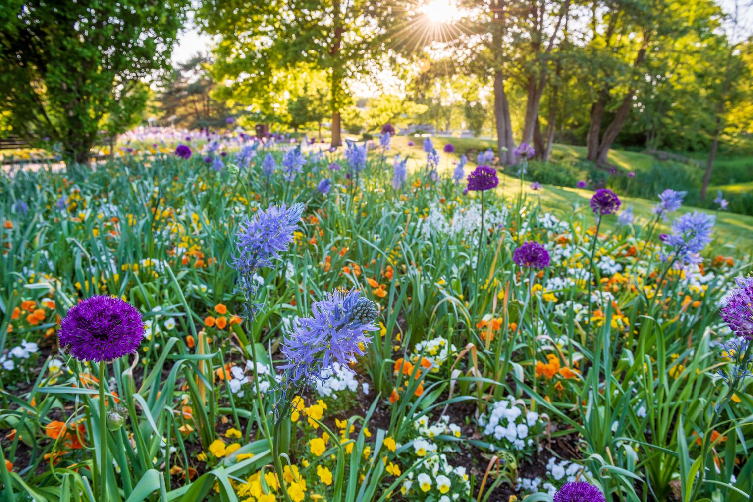Park der Gärten im Frühling