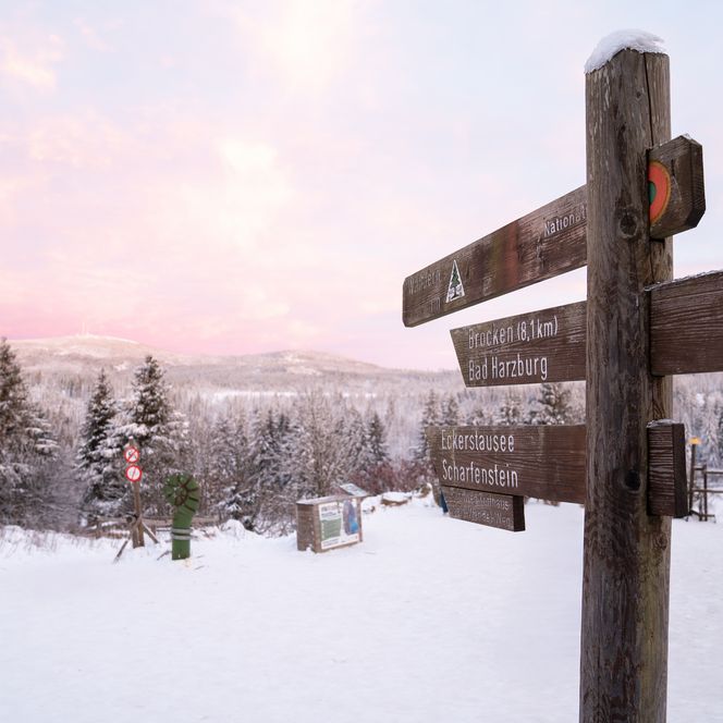 Winter im Torfhaus im Harz 