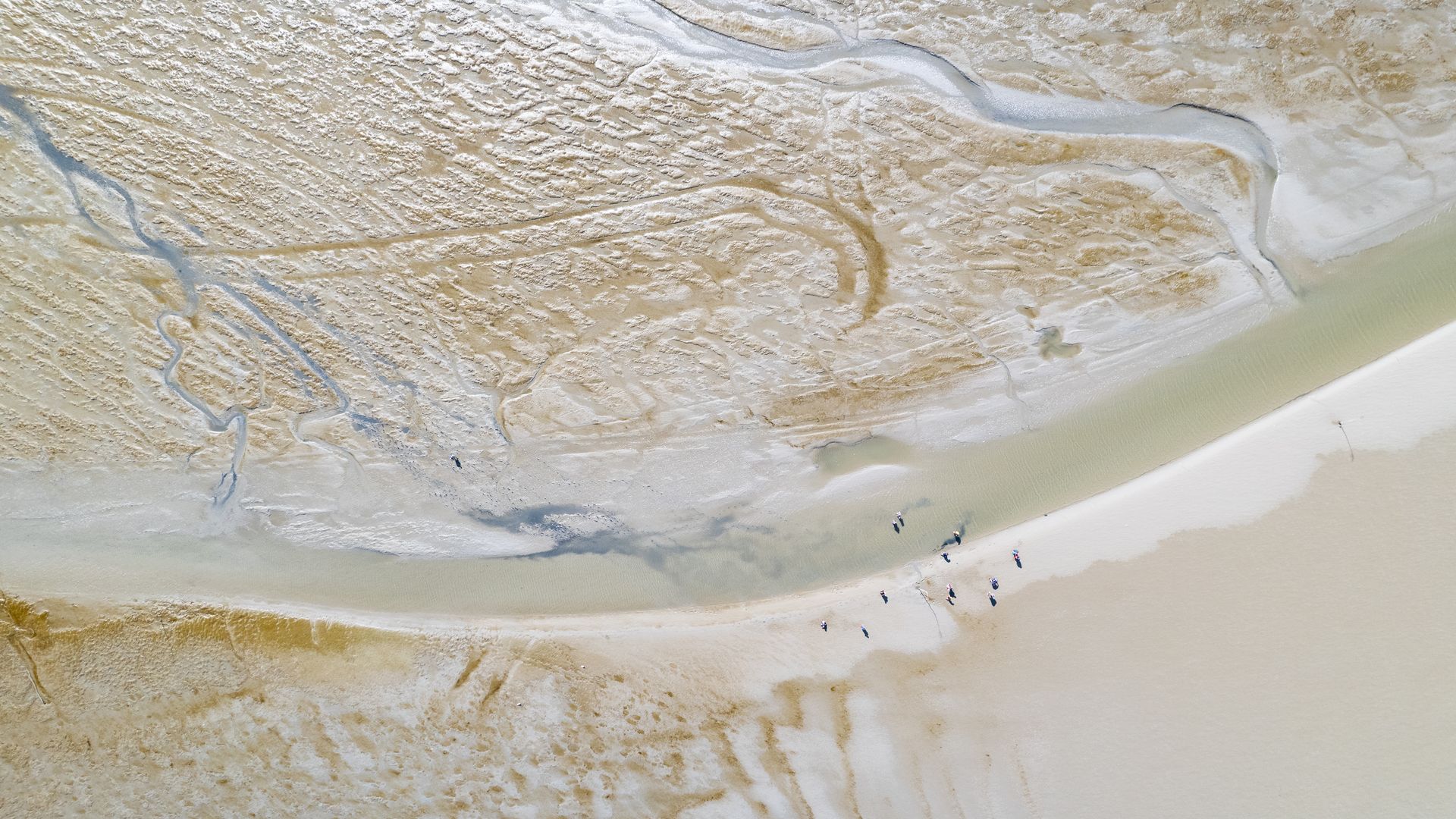 Geführte Wattwanderung