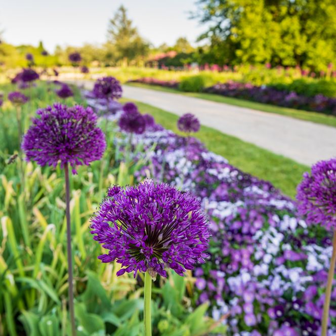 Park der Gärten im Frühling