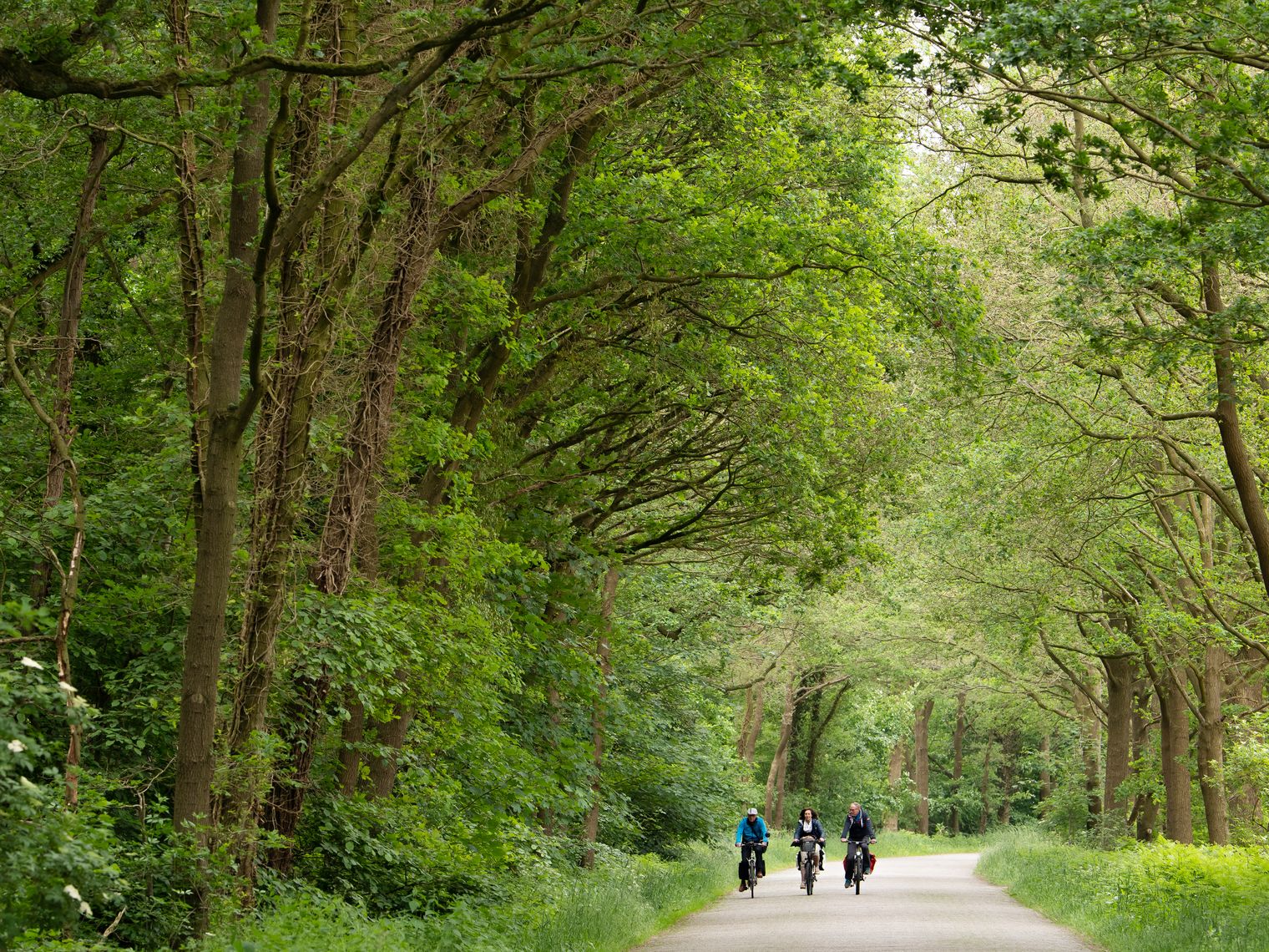 Vechtetalroute