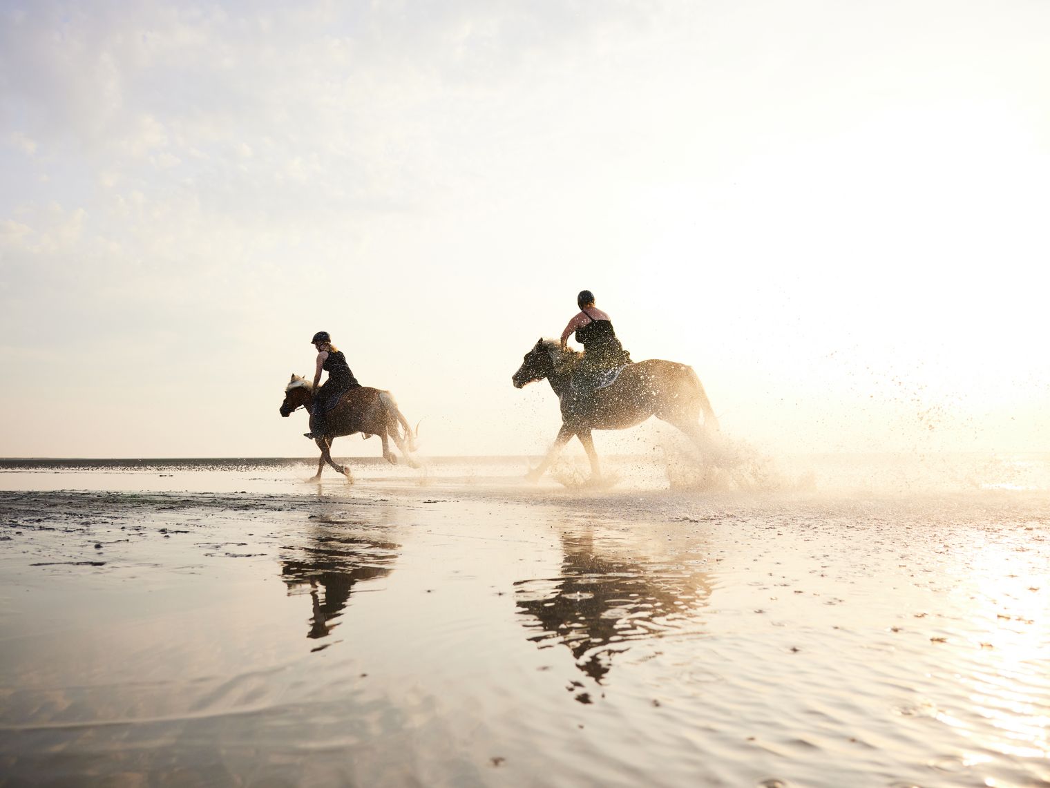 Reiten im Watt