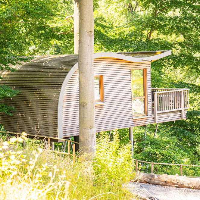 Blick auf das Stelzenhausmodell "Elvis" des Sonnenresorts in Ettershaus