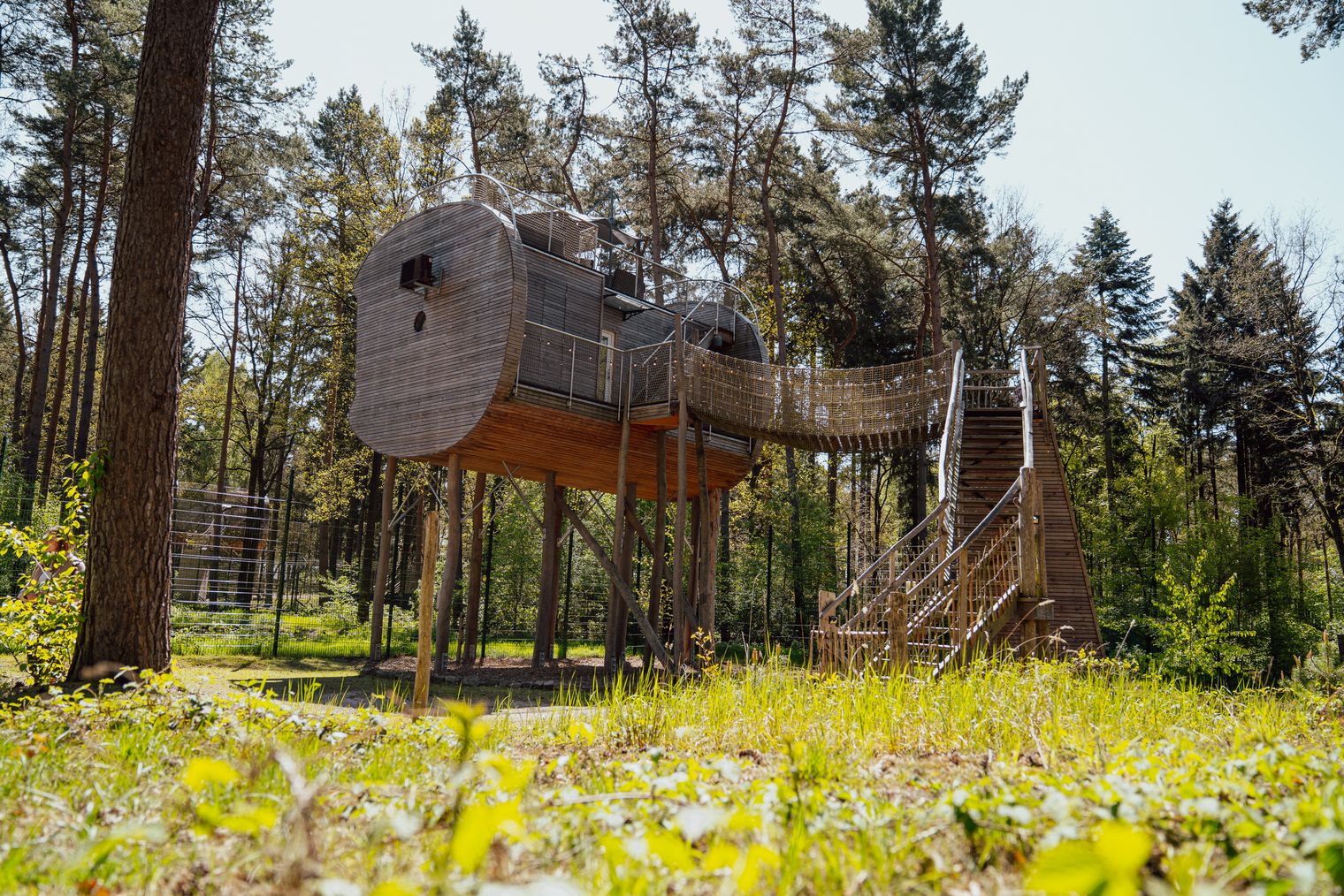 Hotel aus Holz auf Stelzen mit Hängebrücke und Treppe im Wald bei Dörverden.