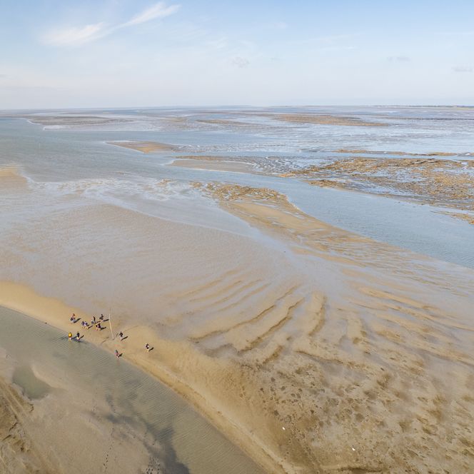 Geführte Wattwanderung