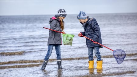 Kinder im Watt