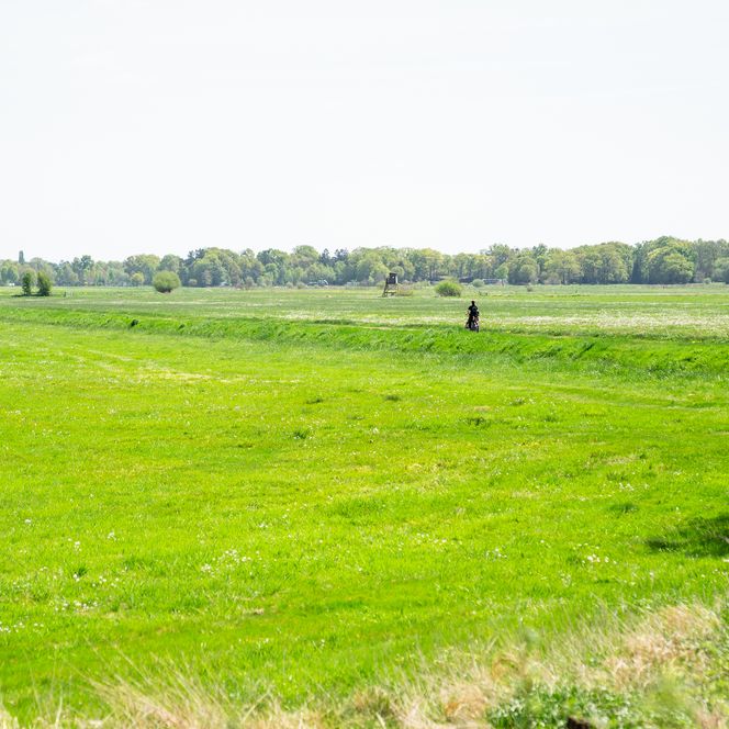 Radfahrer fährt durch grüne Landschaft.