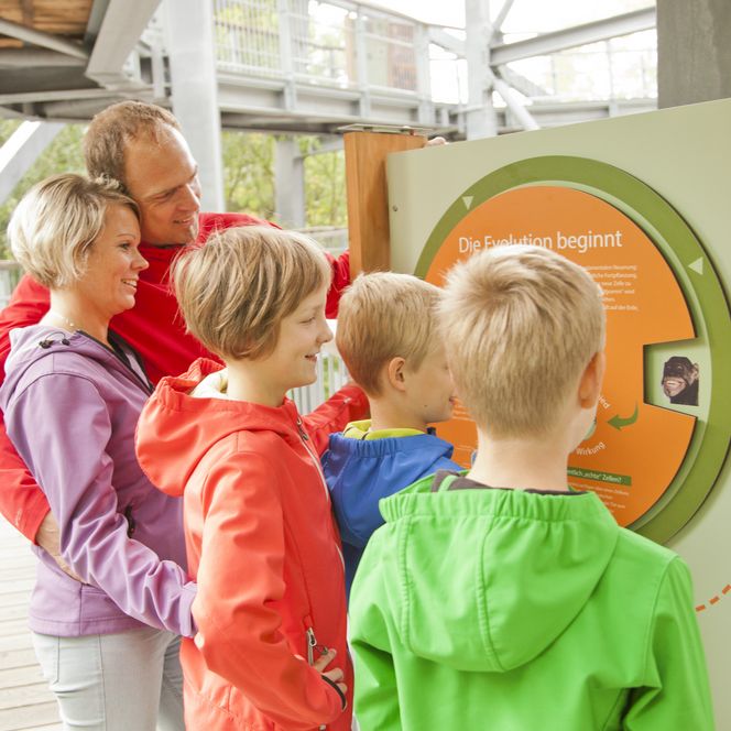 Erlebnisstation Baumwipfelpfad Harz