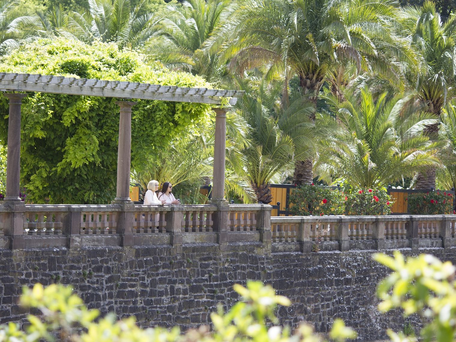 Palmengarten im Kurpark von Bad Pyrmont