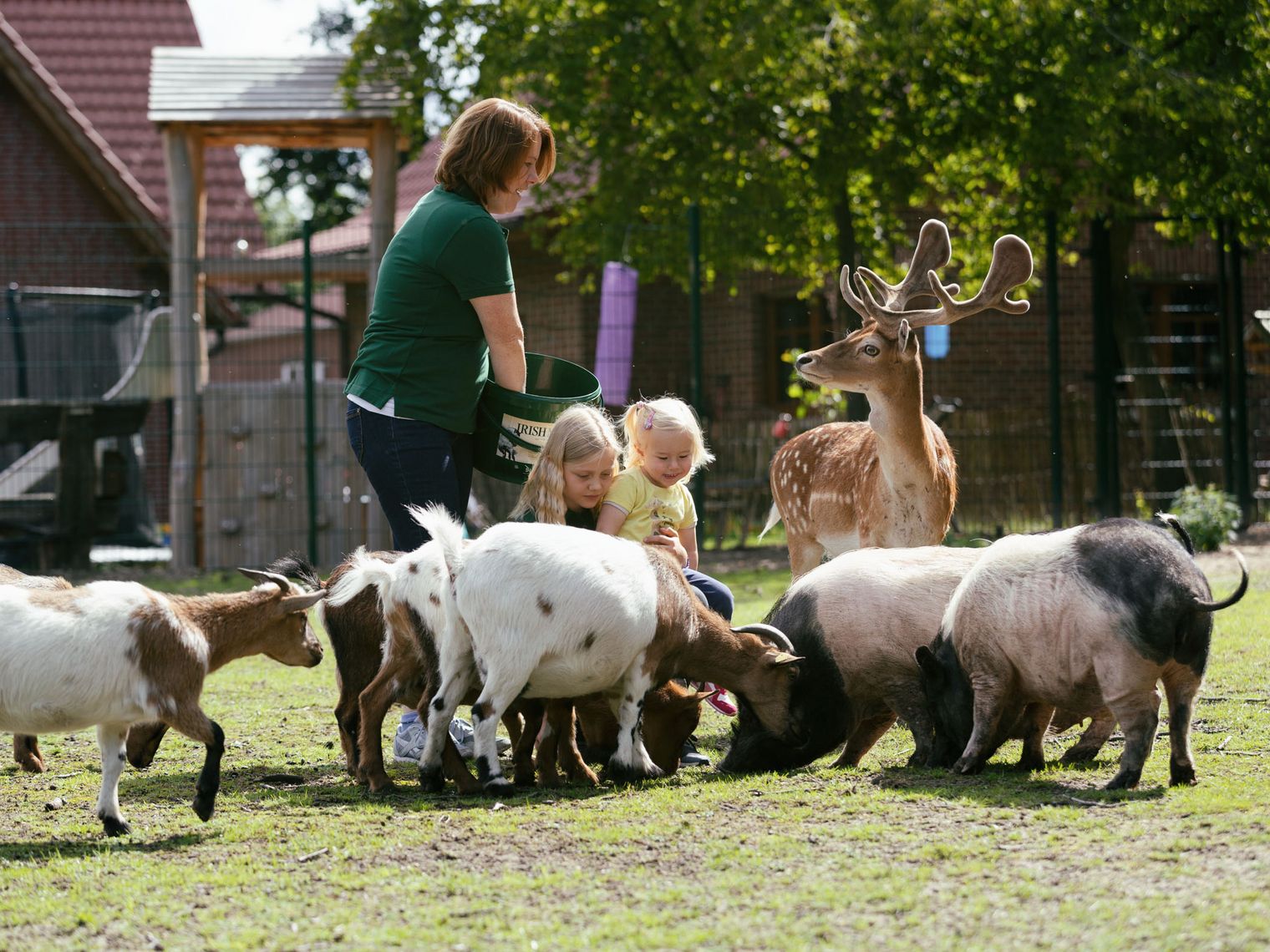 Portraits, Gruppenaufnahmen, Spielplatz, Schnittbilder auf dem Familienhof Brüning am 11.07.2020 in Meppen.