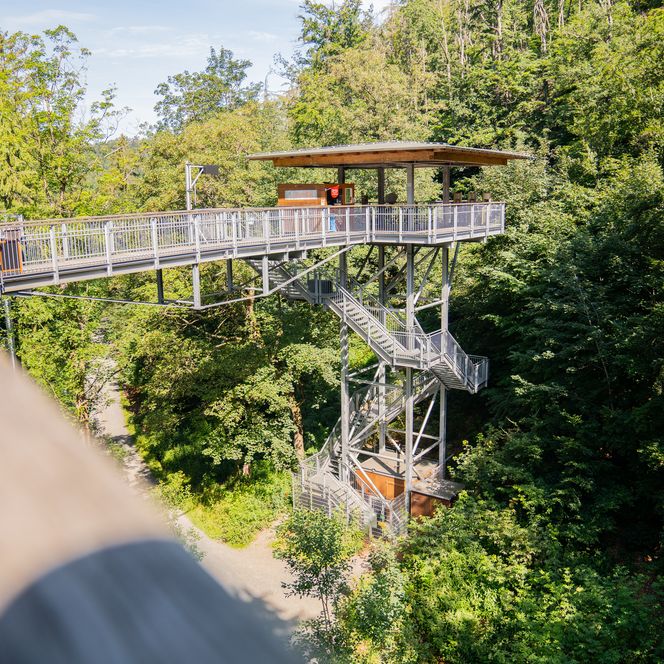 Der Baumwipfelpfad in Bad Harzburg 
