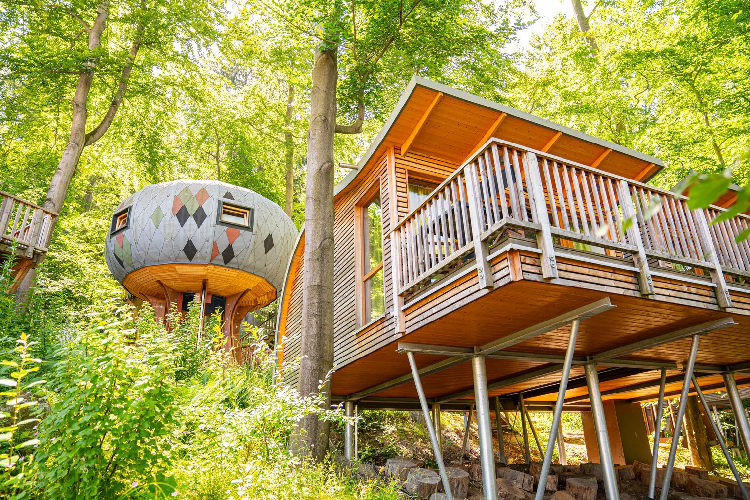 Die verschiedenen Baumhausmodelle des Sonnenresorts in Ettershaus