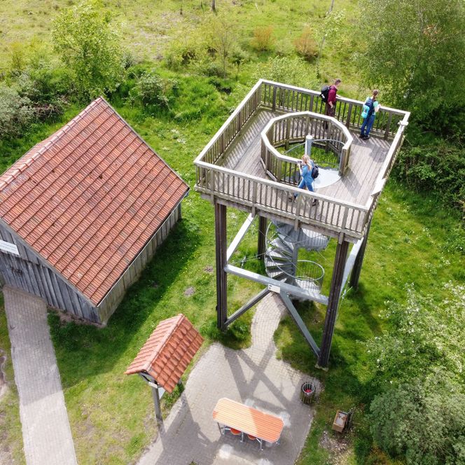 Aussichtsturm aus Holz mit Wendeltreppe am Kapellenmoorgraben, umgeben von Grün und Spaziergängern.