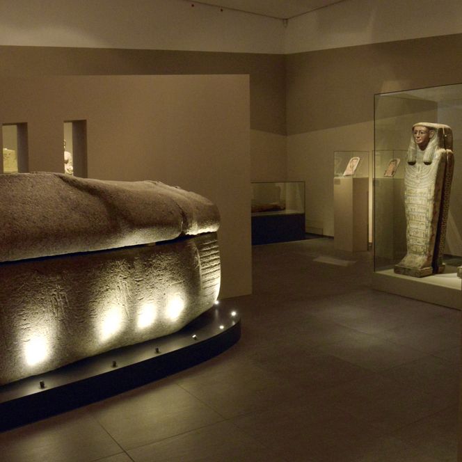 Roemer- und Pelizaeus-Museum Hildesheim, Foto Sharok Shalchi (CC-BY) (1).jpg
