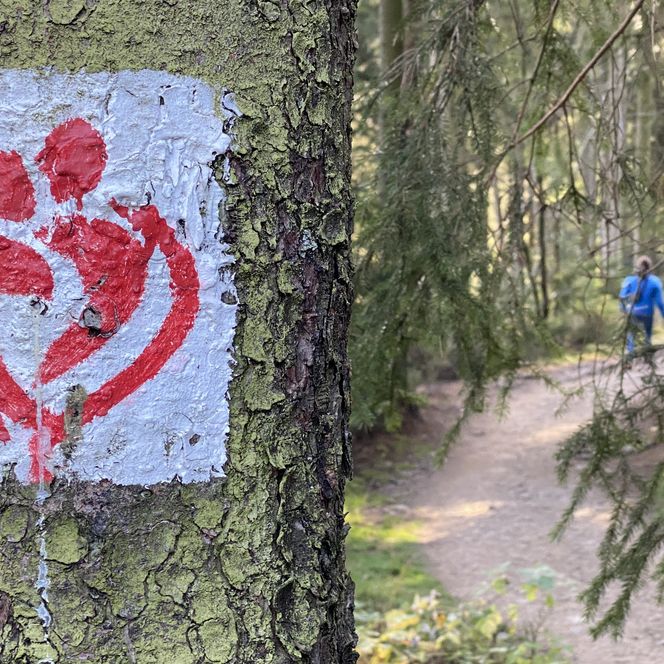 Liebesbankweg im Harz