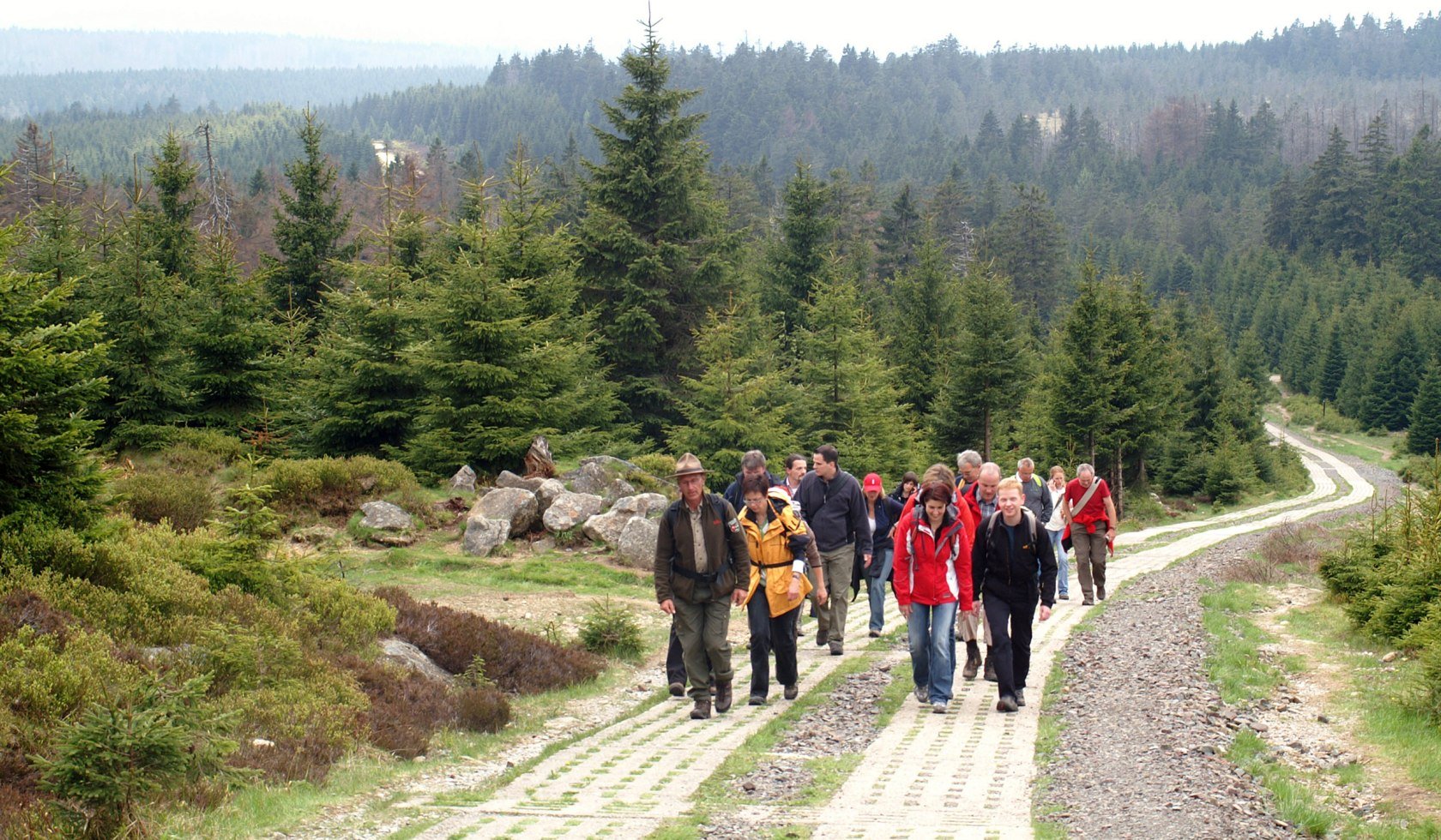 Wandere wandern vor grünen Tannen., © Harzer Tourismusverband