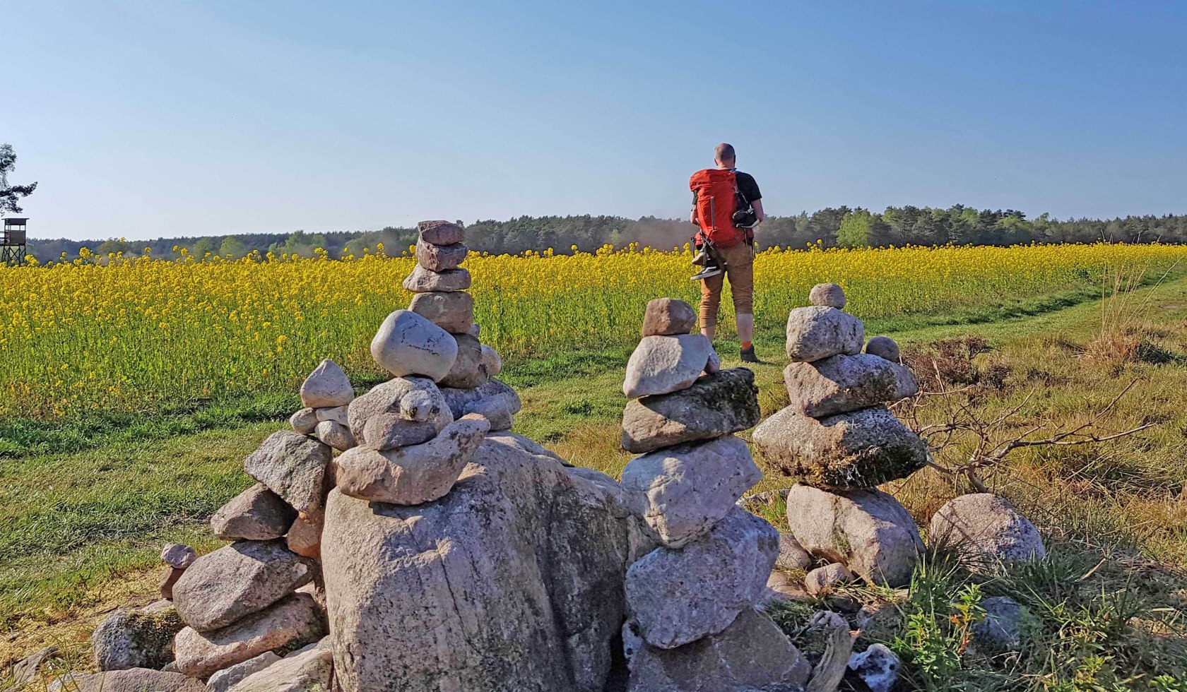 Steinfiguren mit Rapsfeld am Wanderweg Dört Moor, © Touristikverband Landkreis Rotenburg
