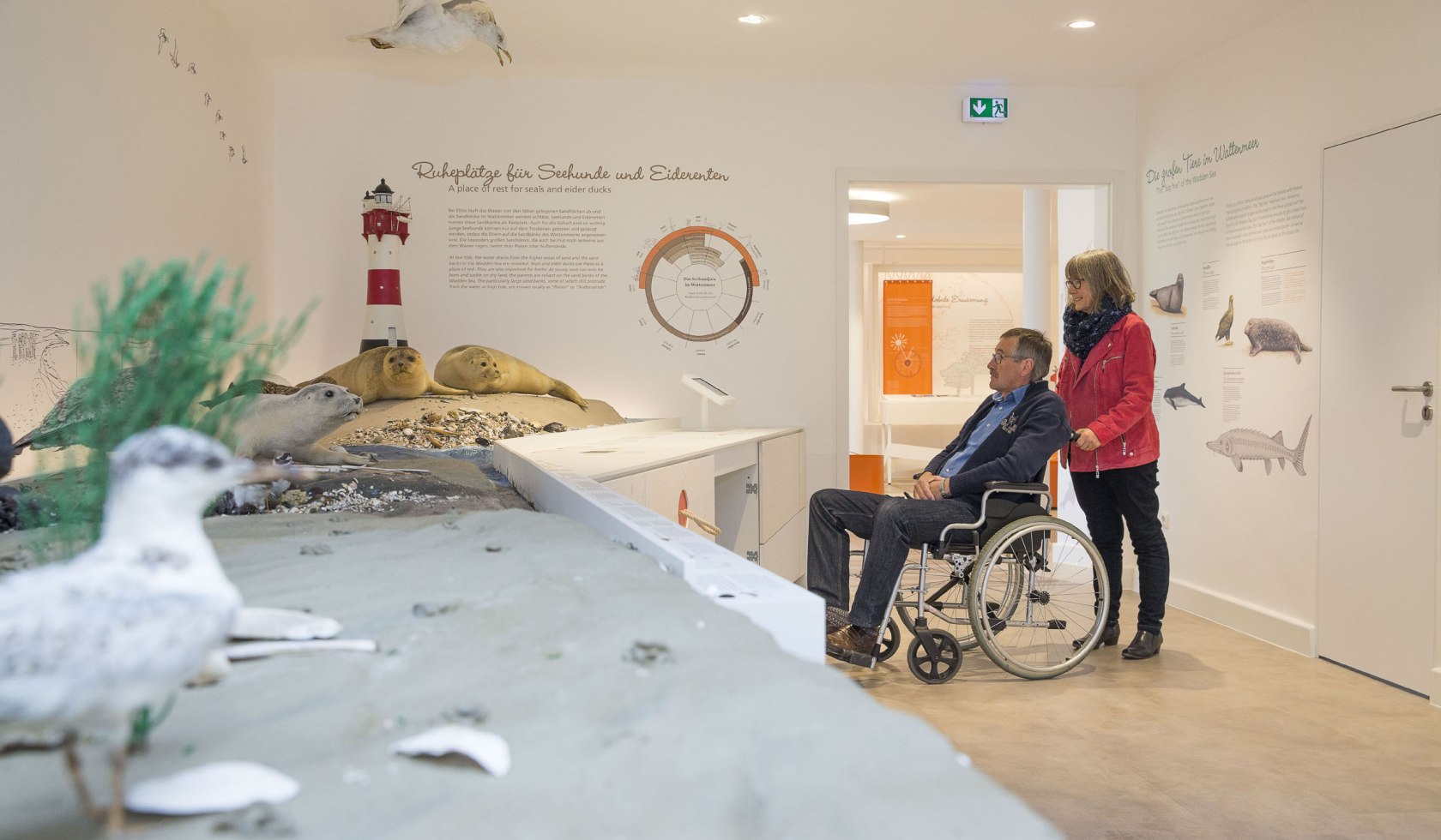Ein Rollstuhlfahrer und seine Frau schauen sich die Ausstellung über das Wattenmeer an, © Nationalpark-Haus Wangerland / Martin Stöver