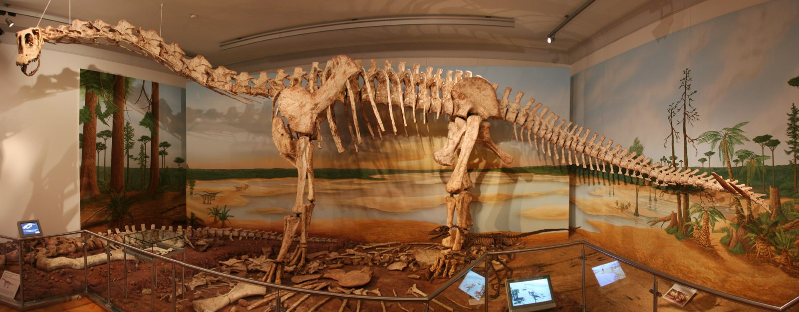 Dinosaurierskelett im Dinosaal des Staatlichen Naturhistorischen Museums, © Staatliches Naturhistorisches Museum/ Maria Regent