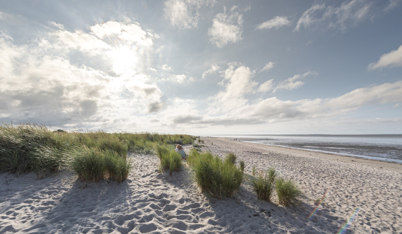 Blick auf den Strand von Schillig mit Dünenlandschaft, © Wangerland Touristik GmbH/Oliver Franke