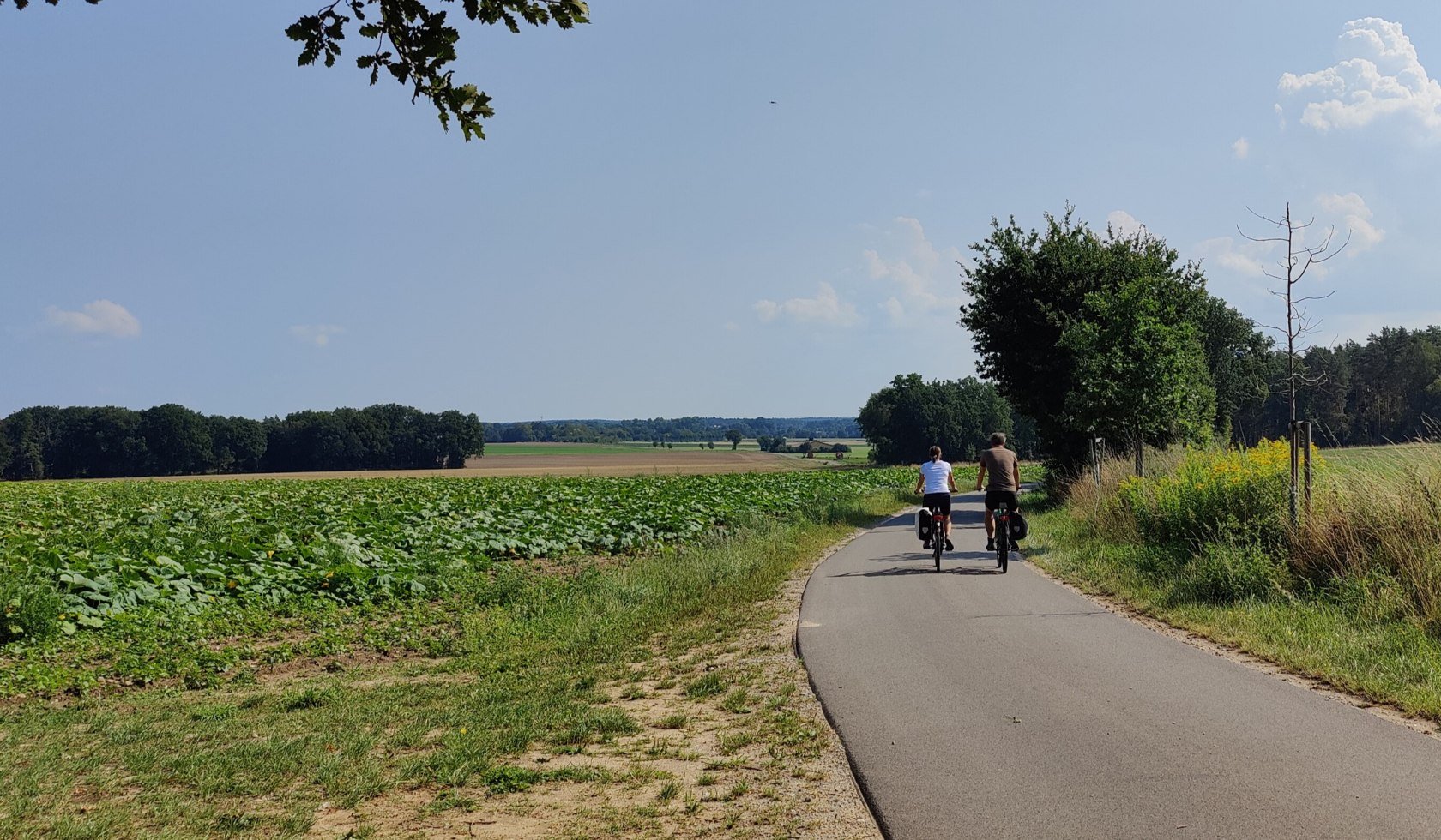 Fahhradfahrer von hinten auf einem Feldweg in der Lüneburger Heide, © TourismusMarketing Niedersachsen GmbH