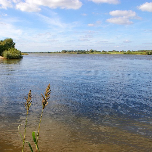 Blick auf den Fluss Elbe im Sommer bei Dömitz, © Flusslandschaft Elbe GmbH/ Jens Kowald