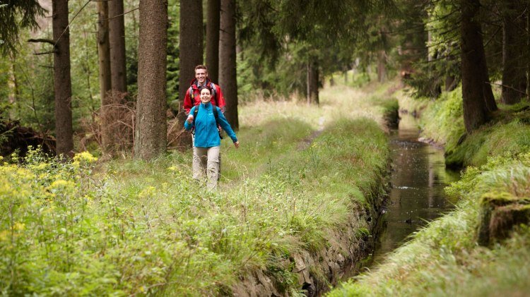 Zwei Wanderer am Oberharzer Wasserregal (UNESCO Welterbe), © Harzer Tourismusverband / M. Gloger