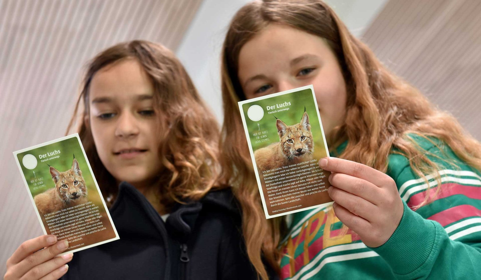 Zwei Mädchen entdecken die Spielkarten der Ausstellung., © Heinz Sielmann Stiftung / Iris Blank