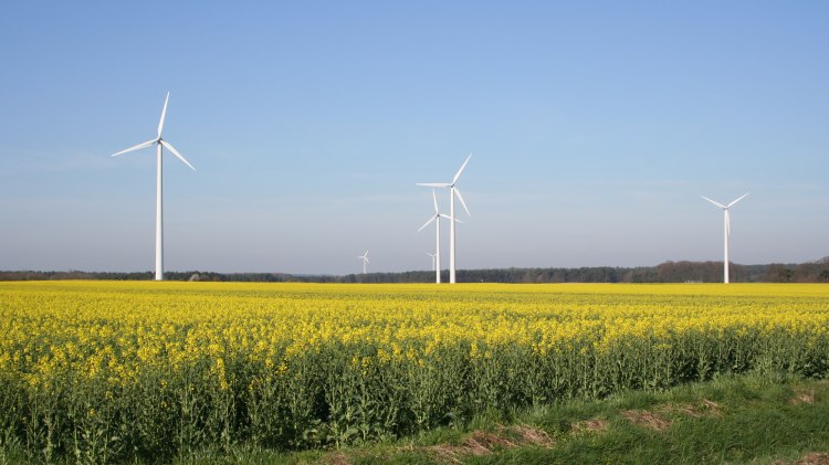 Windpark, © Mittelweser-Touristik GmbH