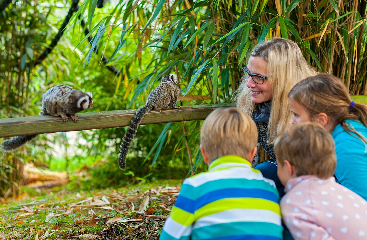 Eine Mutter seht mit mehreren Kindern vor einem Affengehege. Zusammen beobachten sie zwei kleine Äffchen., © Tourismus GmbH Wingst/Bernd Otten
