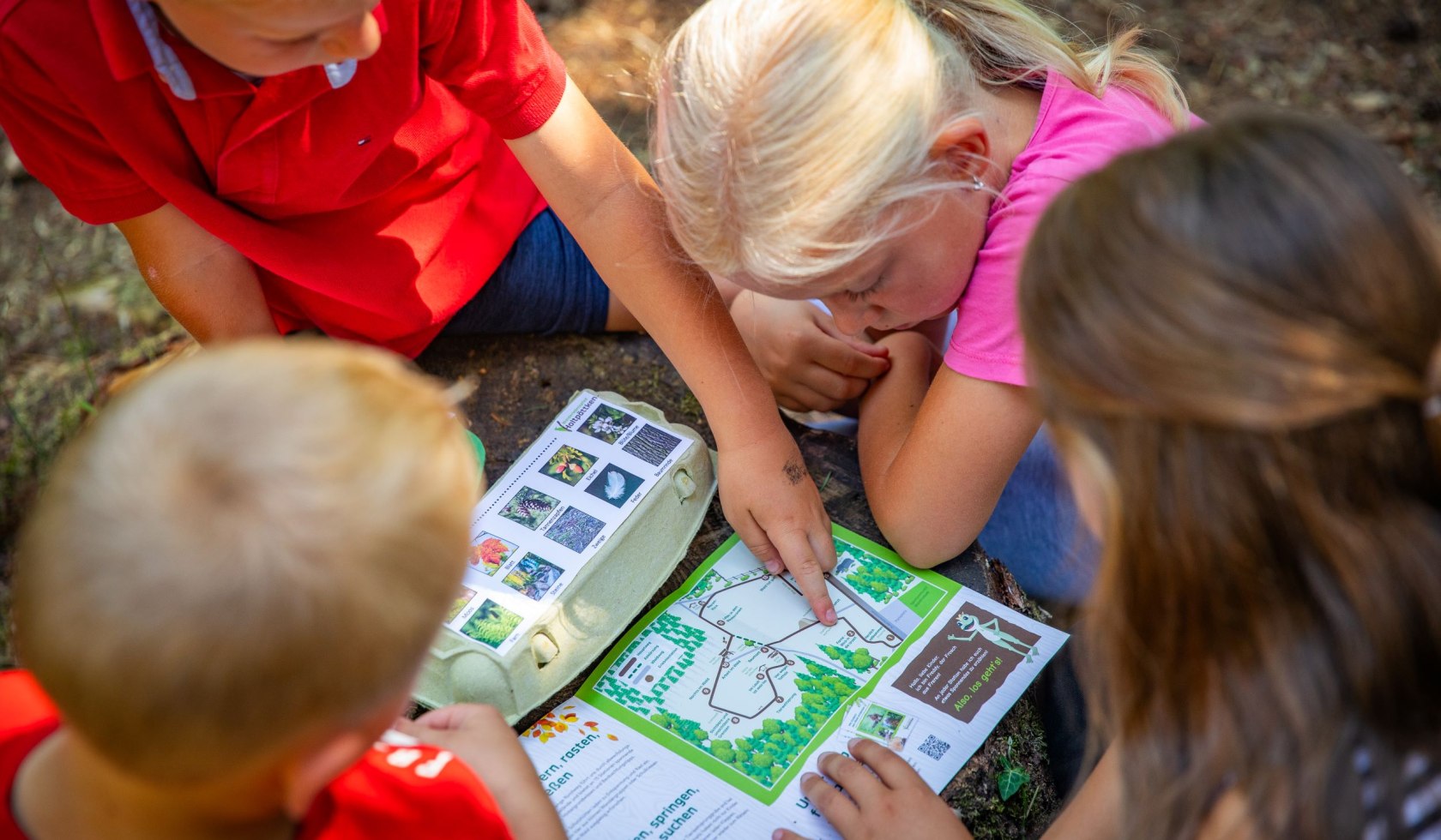 Kinder spielen Waldbingo, © Samtgemeinde Freren/ MedienAtelier Emsland