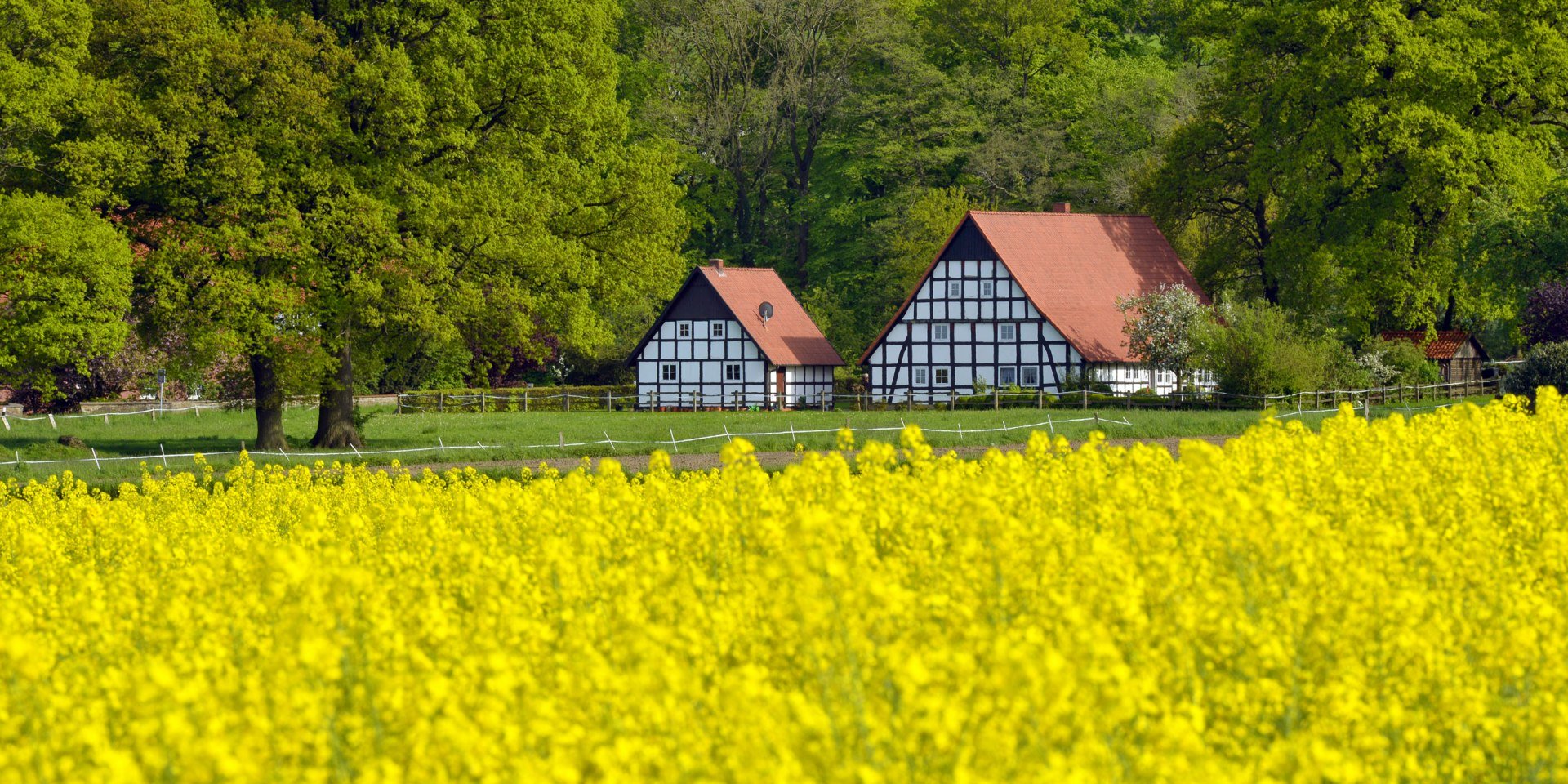 Hügelige Landschaft mit Fachwerkhäusern am Wiehengebirge bei Ostercappeln-Venne, © Tourismusverband Osnabrücker Land / Dieter Schinner