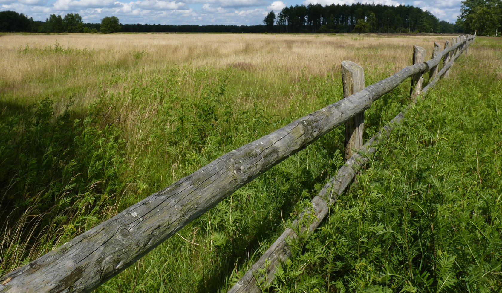 Ein Zaun aus Holz trennt die Weiden am Dör't Moor., © Touristikverband Landkreis Rotenburg (Wümme)