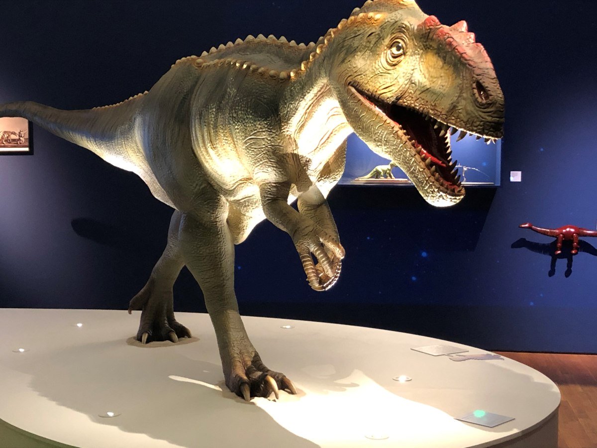Tyrannosaurus Rex, Ausstellung KinoSaurier im Landesmuseum Hannover, © Nadine Blaschke