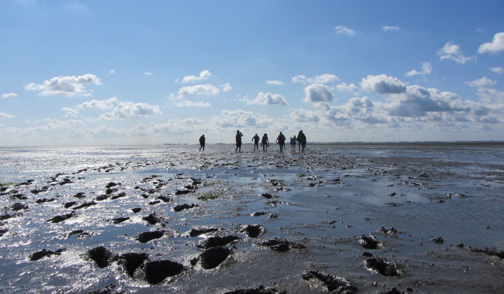 Eine Gruppe unternimmt eine Wattwanderung auf Langeoog, © Naturerlebnis Langeoog / Joke Pouliart