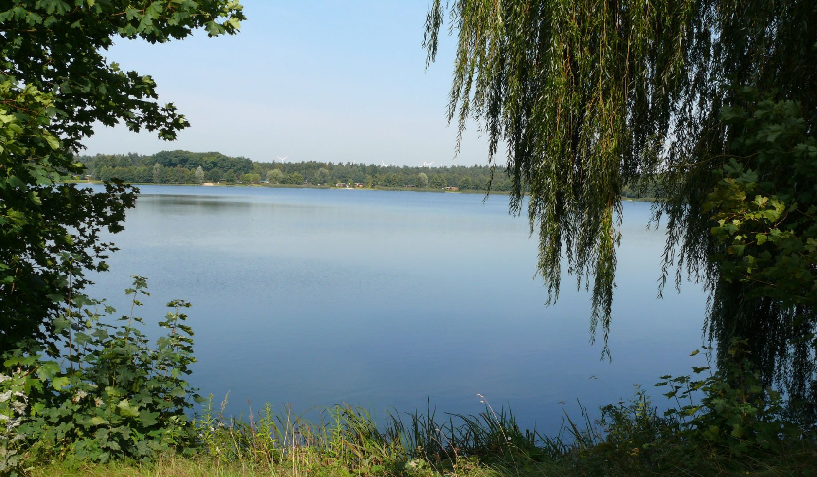 Der Dümmer See, © Tourismusverband Osnabrücker Land e.V.