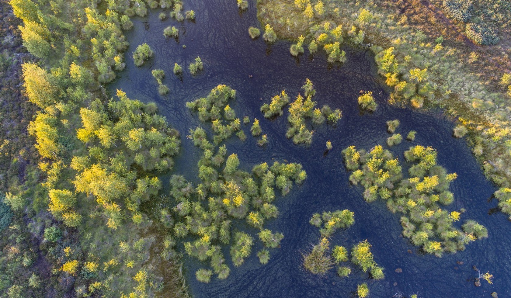 Luftaufnahme vom Neustädter Moor bei Wagenfeld mit Bäumen und Wasserfläche aus der Luft, © TourismusMarketing Niedersachsen GmbH / Willi Rolfes