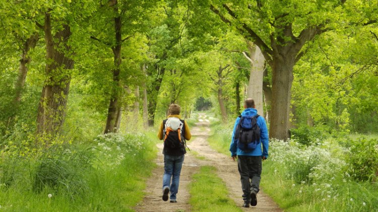 Zwei Wanderer wandern entlang des Weges unter grünen Bäumen., © Touristikverband Landkreis Rotenburg (Wümme)
